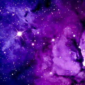 Meet your Posher, Julian